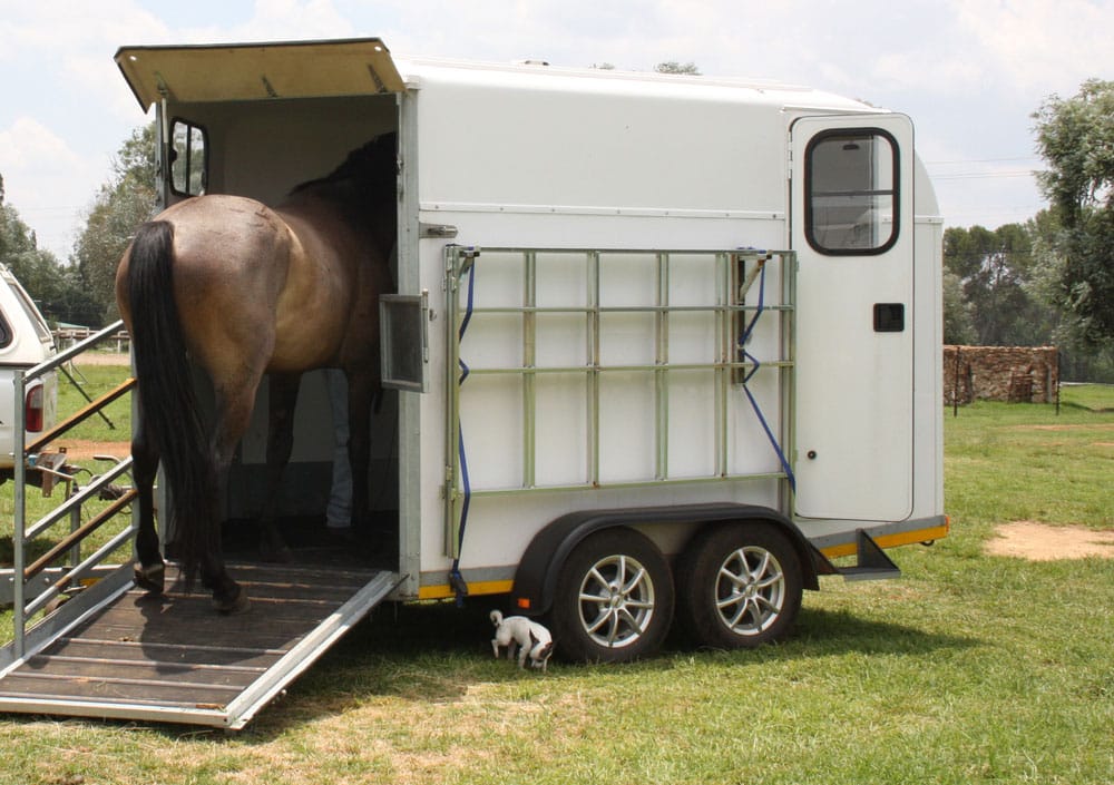 Horses and horseboxes — Goodyear Auto Care In Toowoomba, QLD